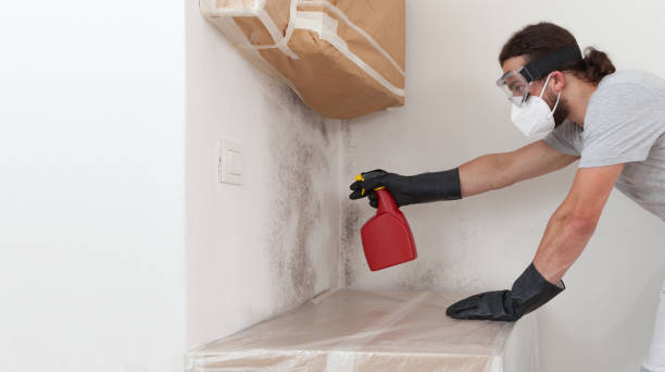 Professional Mold Inspection And Testing technician working in Quincy, MA