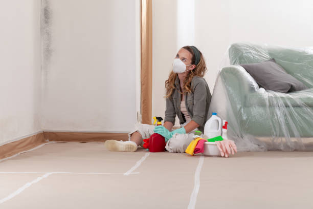 Reliable Mold Inspection And Testing contractor in Quincy, MA by Mold Remediation HQ